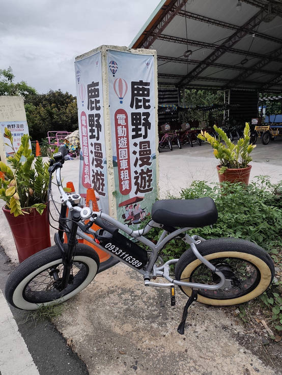電輔胖胎車慢遊鹿野