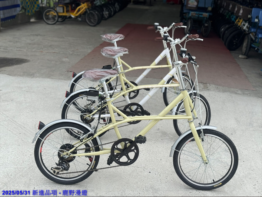 Luye Traveling Enterprise-New arrival bikes 2025-May-31