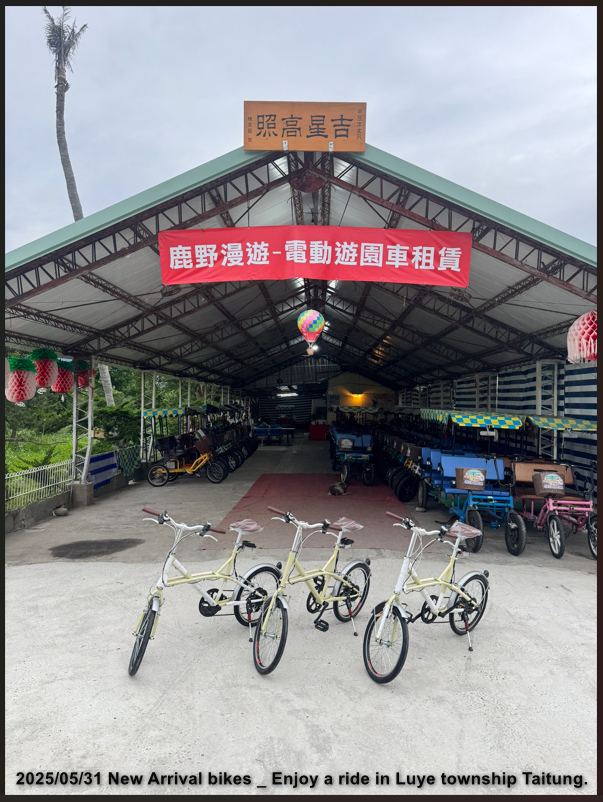 New arrival bikes for Luye traveling enterprise