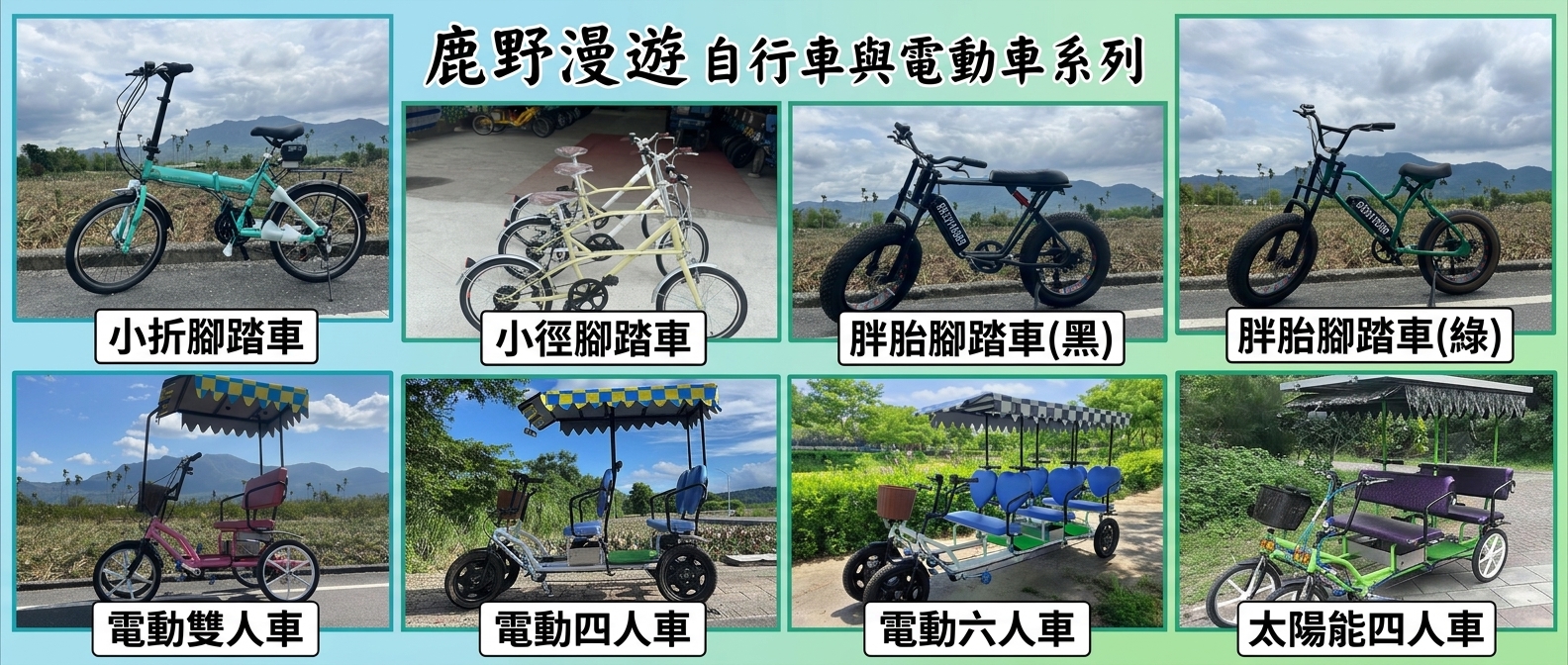 LUYE ROAMING bikes and electric Surrey Bikes